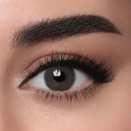 Lensme Power Contact Lenses ArabiaEye (Power -2.5) - Pack of One Lens
